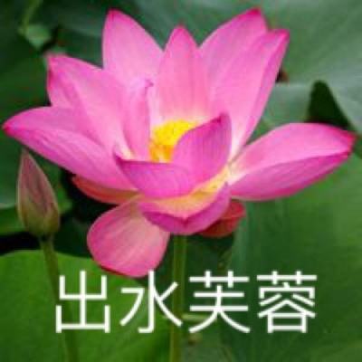 全民修仙最新破解版下载